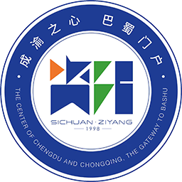 资阳队vs宜宾队